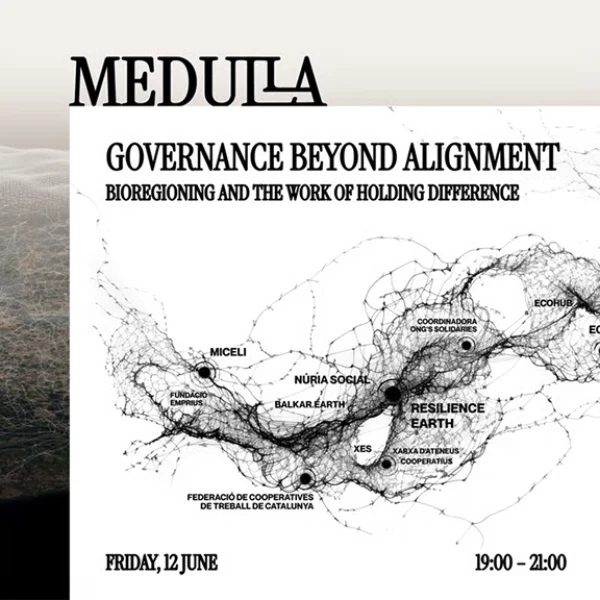 Governance Beyond Alignment — Bioregioning and the work of holding difference